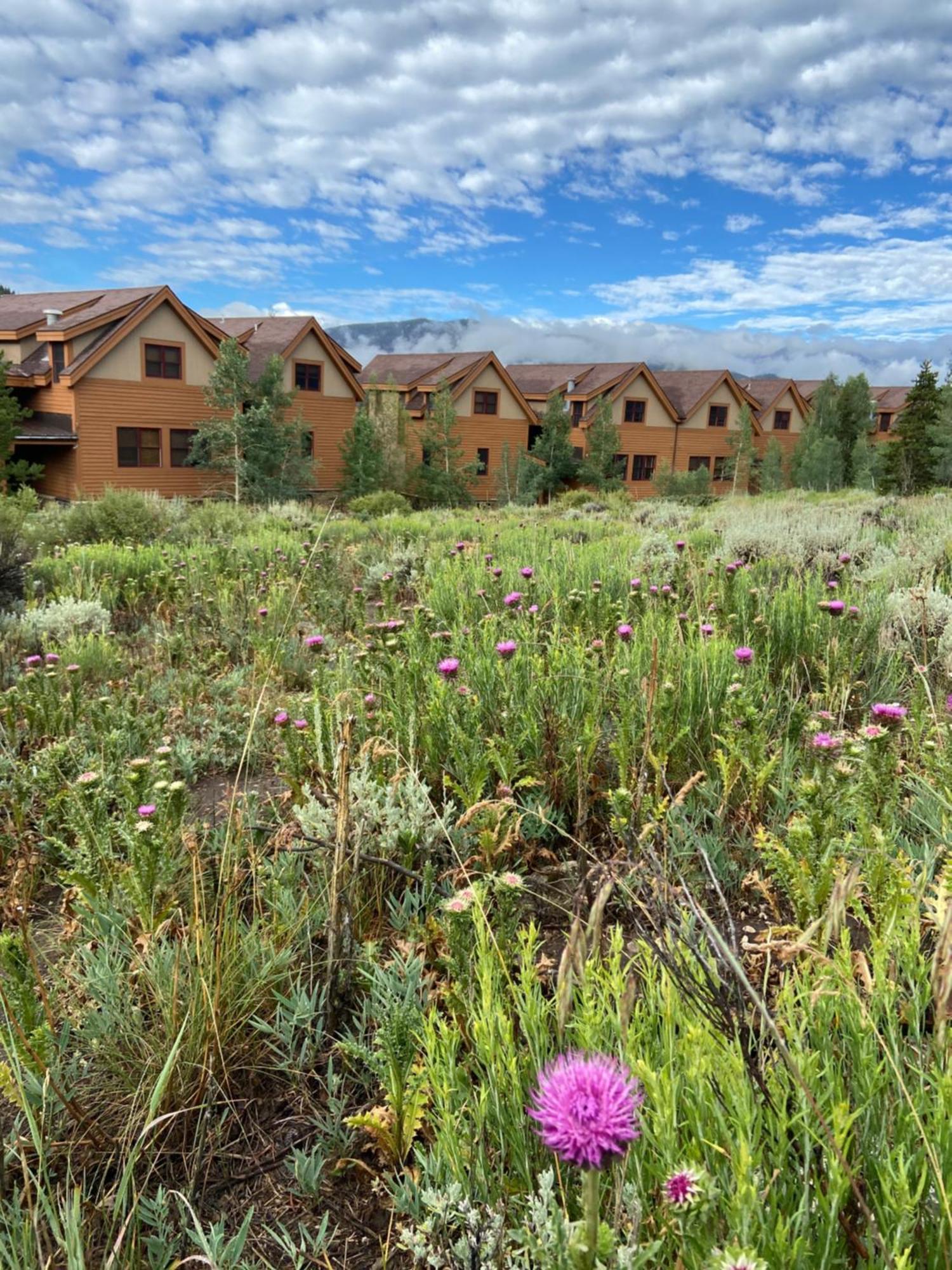 Antlers Gulch 303 By Summitcove Lodging Keystone Bagian luar foto